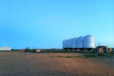 Diversified Farm and Ranch with Top of the Line Improvements - image 17
