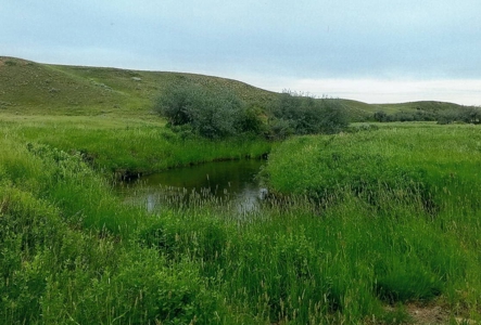 Diversified Farm and Ranch with Top of the Line Improvements - image 13
