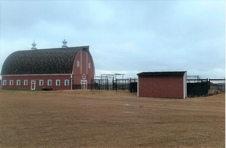 Diversified Farm and Ranch with Top of the Line Improvements - image 11