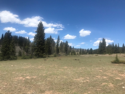 Northern NM Hunting & Recreational Ranch For Sale Chama NM - image 11