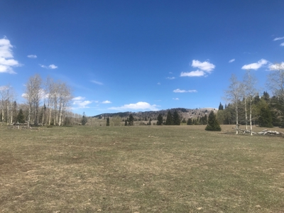 Northern NM Hunting & Recreational Ranch For Sale Chama NM - image 6
