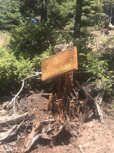 Northern NM Hunting & Recreational Ranch For Sale Chama NM - image 1
