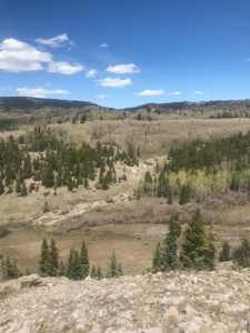 Northern NM Hunting & Recreational Ranch For Sale Chama NM - image 9