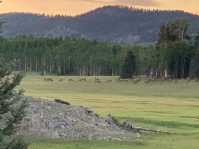 Northern NM Hunting & Recreational Ranch For Sale Chama NM - image 16