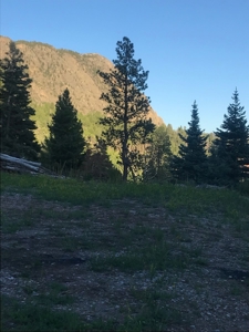 Northern NM Hunting & Recreational Ranch For Sale Chama NM - image 21