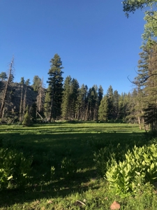 Northern NM Hunting & Recreational Ranch For Sale Chama NM - image 24