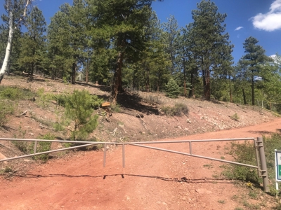 Northern NM Hunting & Recreational Ranch For Sale Chama NM - image 3
