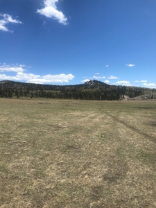 Northern NM Hunting & Recreational Ranch For Sale Chama NM - image 4