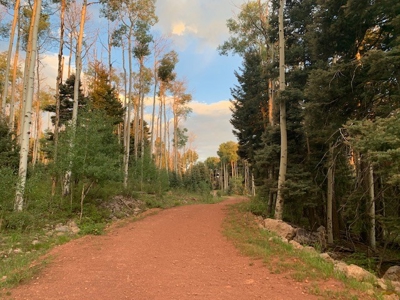 Northern NM Hunting & Recreational Ranch For Sale Chama NM - image 15