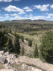 Northern NM Hunting & Recreational Ranch For Sale Chama NM - image 10