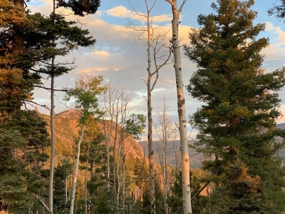 Northern NM Hunting & Recreational Ranch For Sale Chama NM - image 14
