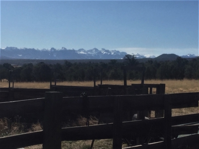Classic Colorado Log Home Located on 45 Acres, Montrose, Co - image 23