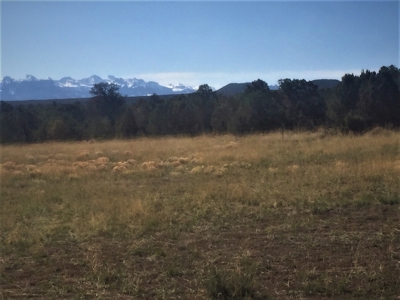 Classic Colorado Log Home Located on 45 Acres, Montrose, Co - image 24