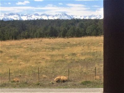 Classic Colorado Log Home Located on 45 Acres, Montrose, Co - image 27