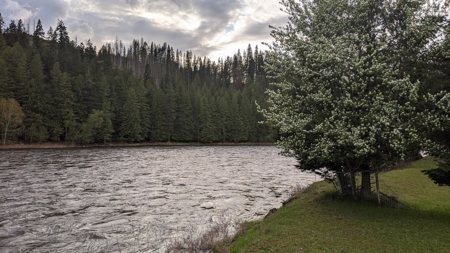 Escape to Your Own Riverside Paradise in North Central Idaho - image 3
