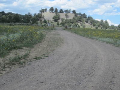 Close to El Vado and Heron Lakes - image 9