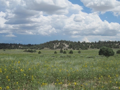Close to El Vado and Heron Lakes - image 4