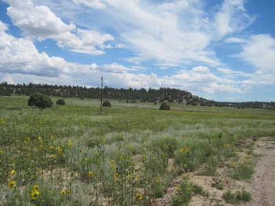 Close to El Vado and Heron Lakes - image 2