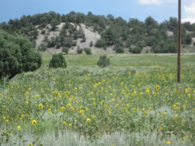 Close to El Vado and Heron Lakes - image 5