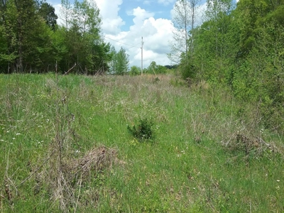 Sold! 5.33 Mostly Wooded Tn Acres Part Of It On Tn River - image 4