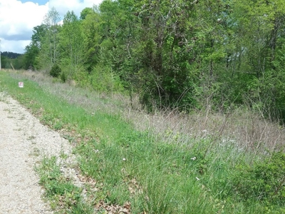 Sold! 5.33 Mostly Wooded Tn Acres Part Of It On Tn River - image 8