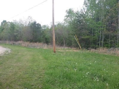 Sold! 5.33 Mostly Wooded Tn Acres Part Of It On Tn River - image 2