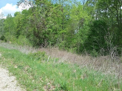 Sold! 5.33 Mostly Wooded Tn Acres Part Of It On Tn River - image 9