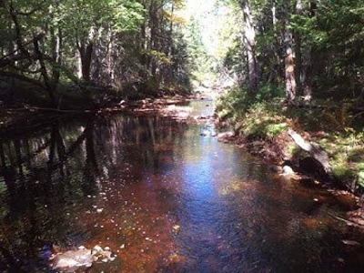 Alternative Energy Home For Sale in Maine - image 42