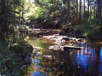 Alternative Energy Home For Sale in Maine - image 5
