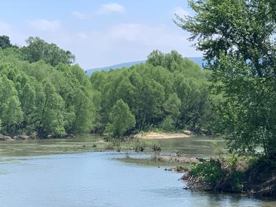 Kiamichi River Front Hunting paradise! - image 14