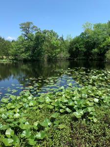 Kiamichi River Front Hunting paradise! - image 25