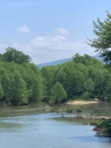 Kiamichi River Front Hunting paradise! - image 2