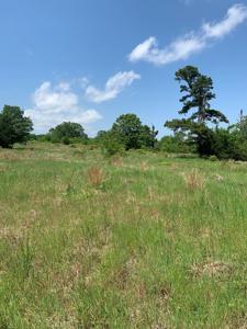 Kiamichi River Front Hunting paradise! - image 26