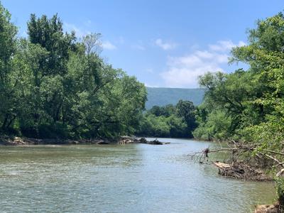 Kiamichi River Front Hunting paradise! - image 21