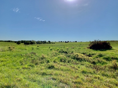 Beautiful Pasture Land Near Cushing, Oklahoma - image 33