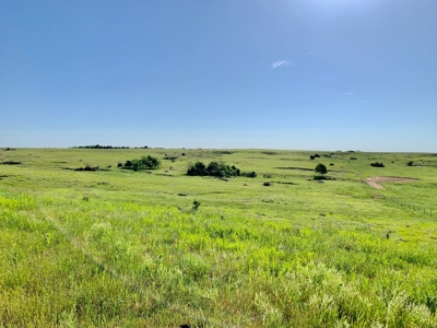 Beautiful Pasture Land Near Cushing, Oklahoma - image 34