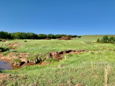 Beautiful Pasture Land Near Cushing, Oklahoma - image 31