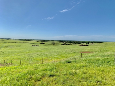 Beautiful Pasture Land Near Cushing, Oklahoma - image 37