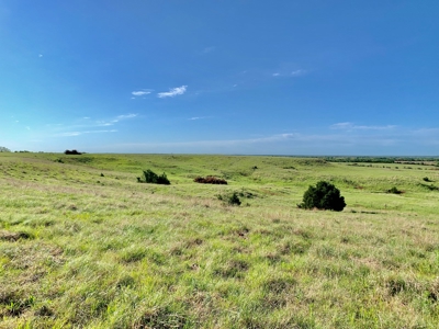 Beautiful Pasture Land Near Cushing, Oklahoma - image 29
