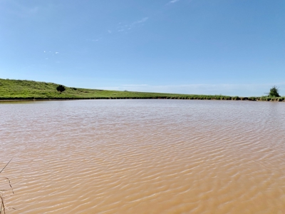Beautiful Pasture Land Near Cushing, Oklahoma - image 39