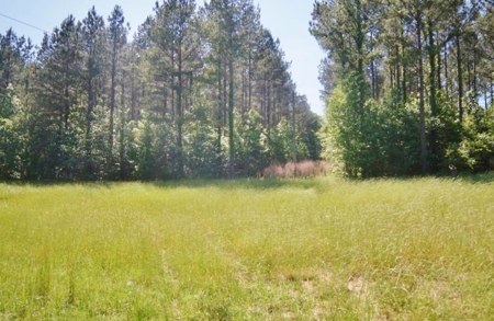 174 Acres Hunting Land on the Homochitto River Copiah Co. - image 5