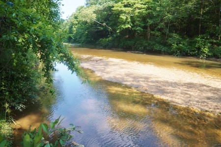 174 Acres Hunting Land on the Homochitto River Copiah Co. - image 24