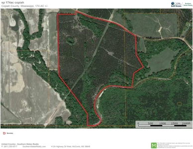 174 Acres Hunting Land on the Homochitto River Copiah Co. - image 39