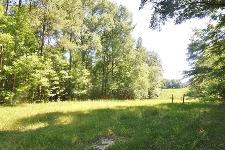 174 Acres Hunting Land on the Homochitto River Copiah Co. - image 14