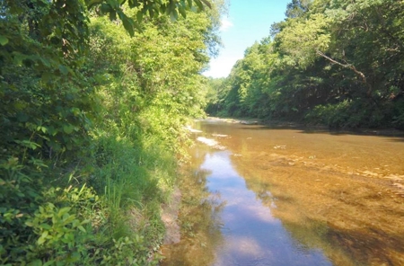 174 Acres Hunting Land on the Homochitto River Copiah Co. - image 26