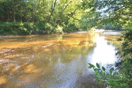 174 Acres Hunting Land on the Homochitto River Copiah Co. - image 23