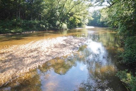 174 Acres Hunting Land on the Homochitto River Copiah Co. - image 25