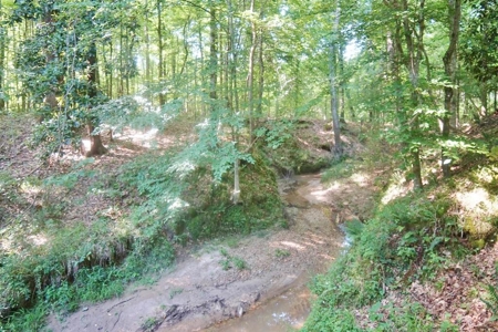 174 Acres Hunting Land on the Homochitto River Copiah Co. - image 20