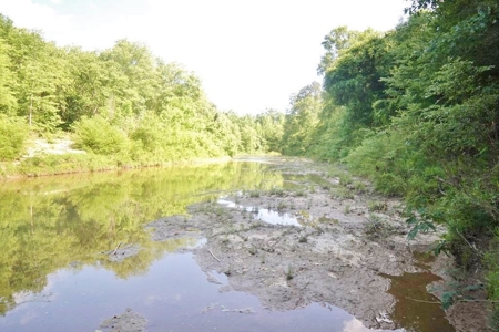 174 Acres Hunting Land on the Homochitto River Copiah Co. - image 18