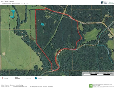 174 Acres Hunting Land on the Homochitto River Copiah Co. - image 40